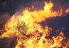 Waldbrände in Kroatien: Das müssen Reisende wissen