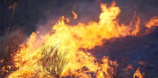 Waldbrände in Kroatien: Das müssen Reisende wissen