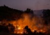 Waldbrände in Kroatien: Lage bei Omiš stabilisiert Waldbrand Nacht