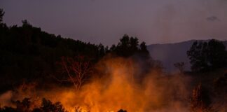 Waldbrände in Kroatien: Lage bei Omiš stabilisiert Waldbrand Nacht